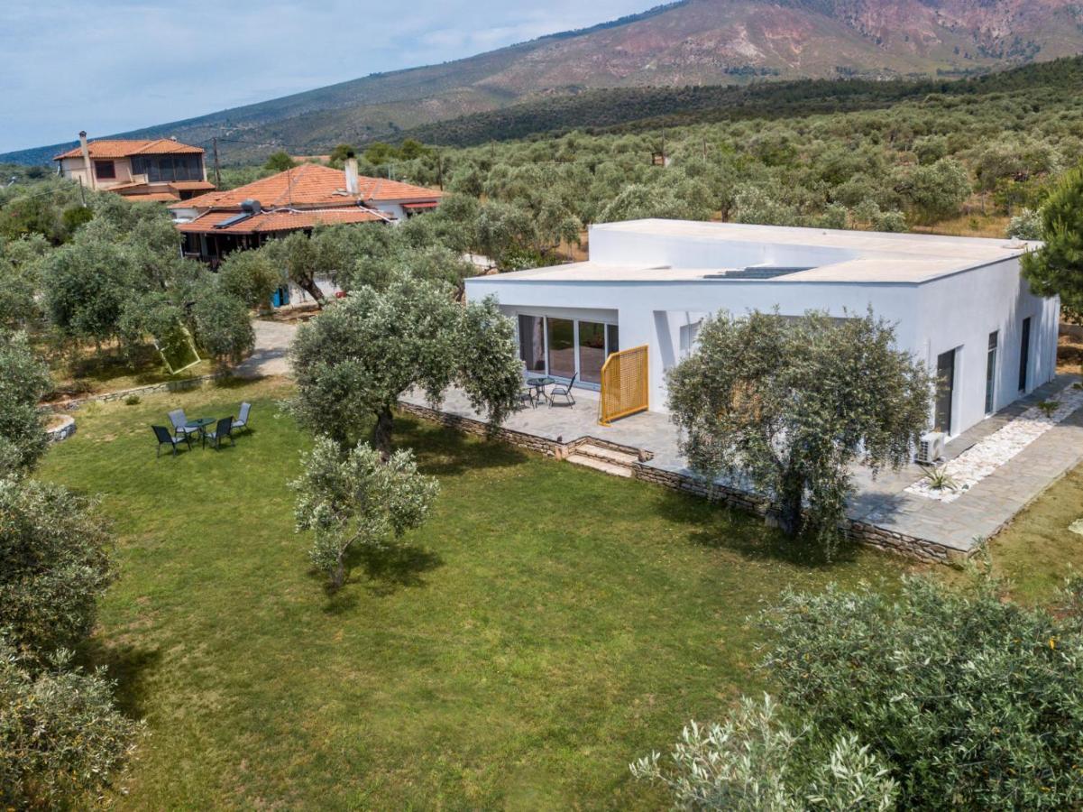 Avgoustidis Apartments Limenaria  Exterior foto